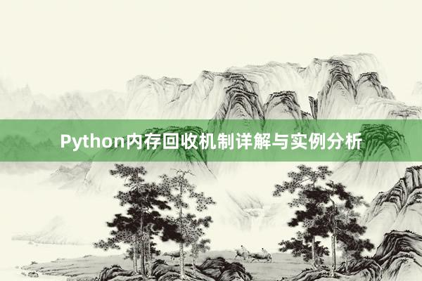 Python内存回收机制详解与实例分析