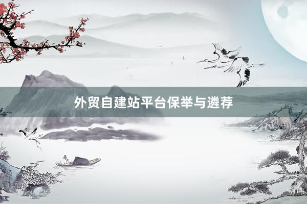 外贸自建站平台保举与遴荐