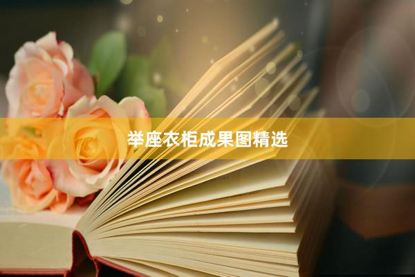 举座衣柜成果图精选