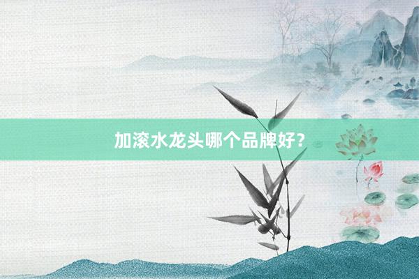 加滚水龙头哪个品牌好？