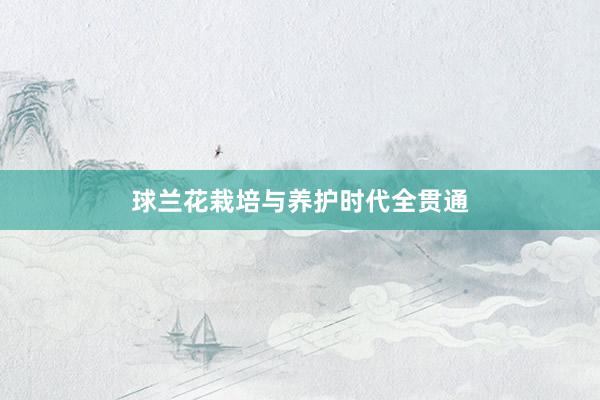 球兰花栽培与养护时代全贯通