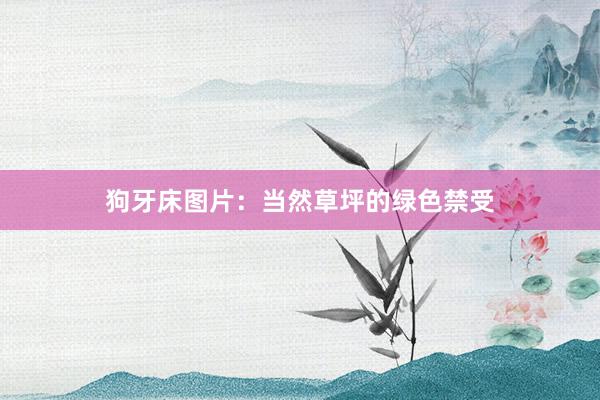狗牙床图片：当然草坪的绿色禁受